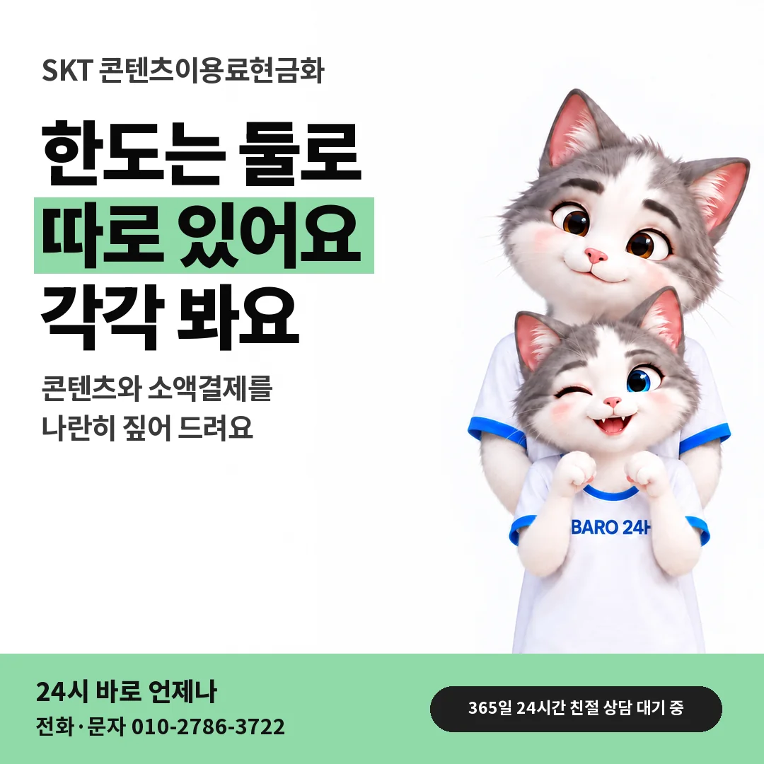 BARO 24H 티셔츠를 입은 3D 동물 캐릭터 옆에 「SKT 두 한도 따로 보기」 제목을 얹은 안내 카드